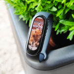 personalizar-fondo-pantalla-xiaomi-mi-band-6